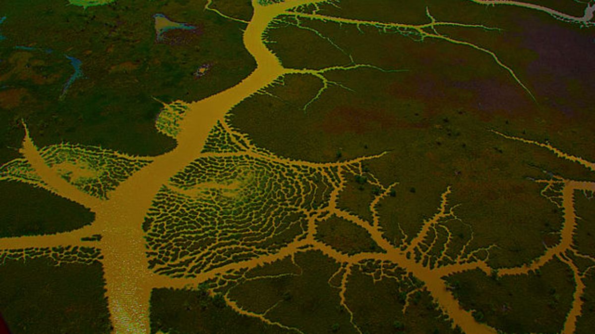 O Delta do Parnaíba se destaca como o terceiro maior delta oceânico do planeta