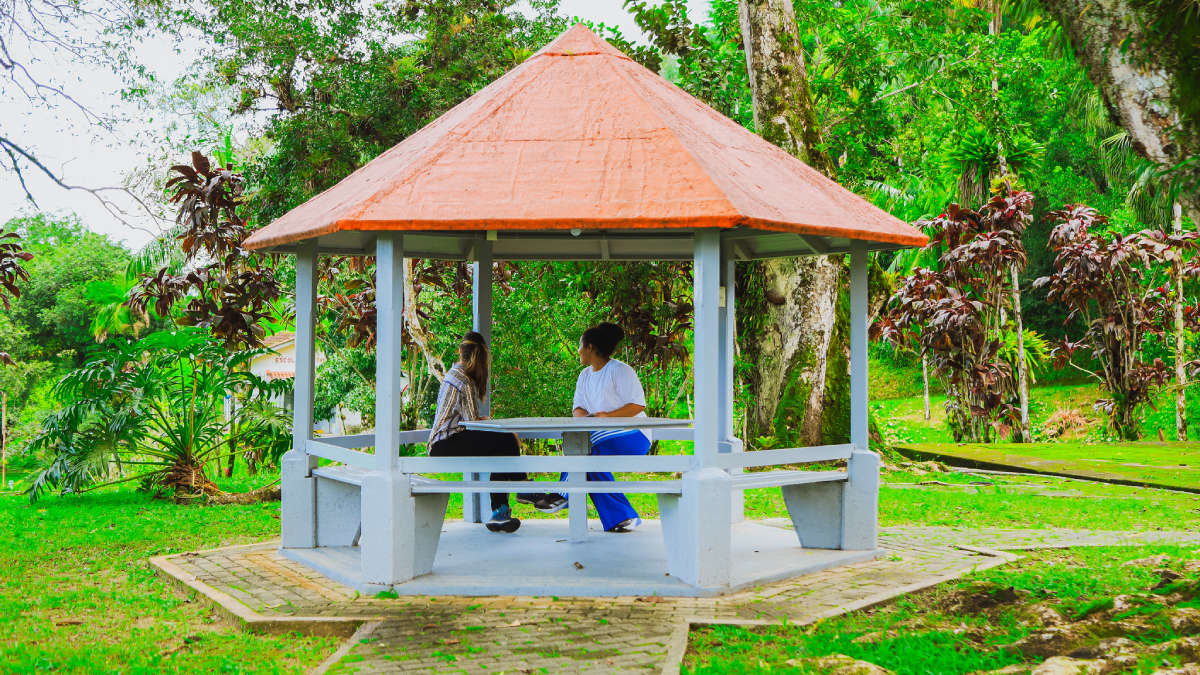 A cidade recebeu uma delegação formada por 25 estudantes e professores do Lafayette College