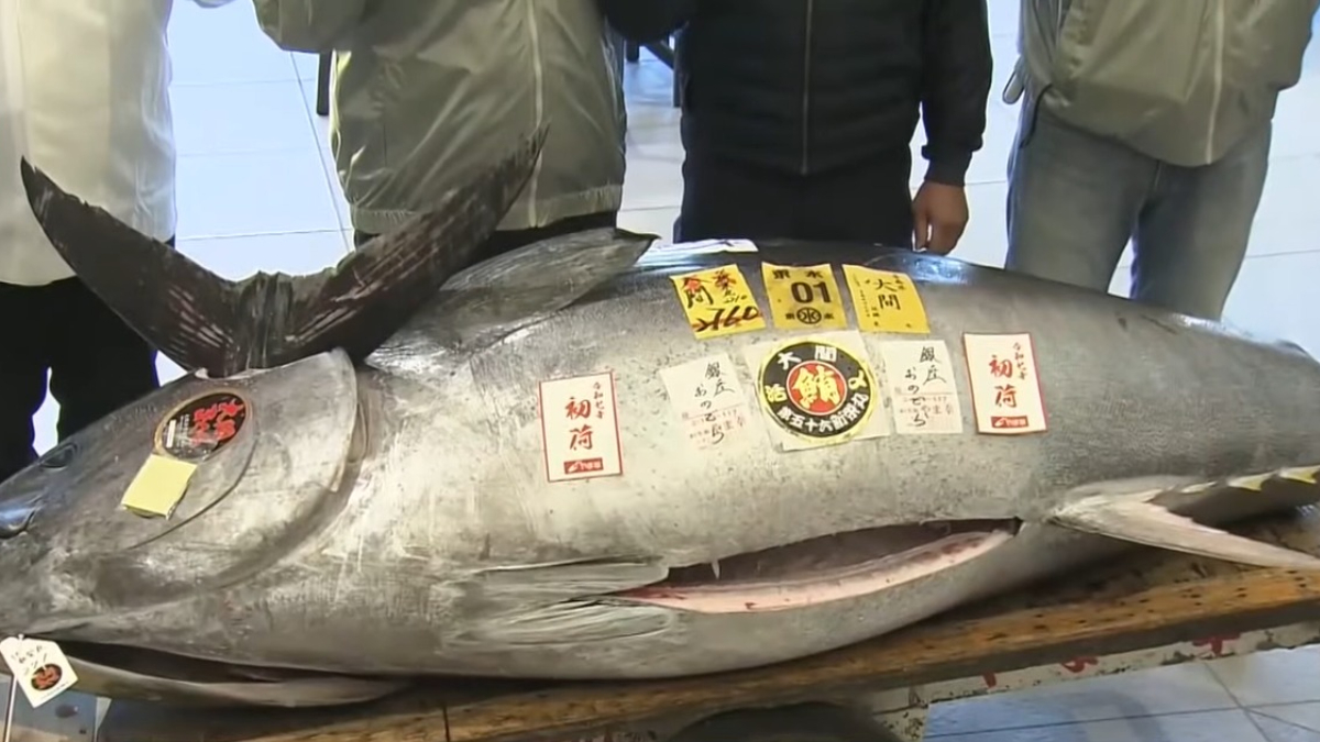 De acordo com a emissora pública japonesa NHK, o valor quebrou todos os recordes históricos