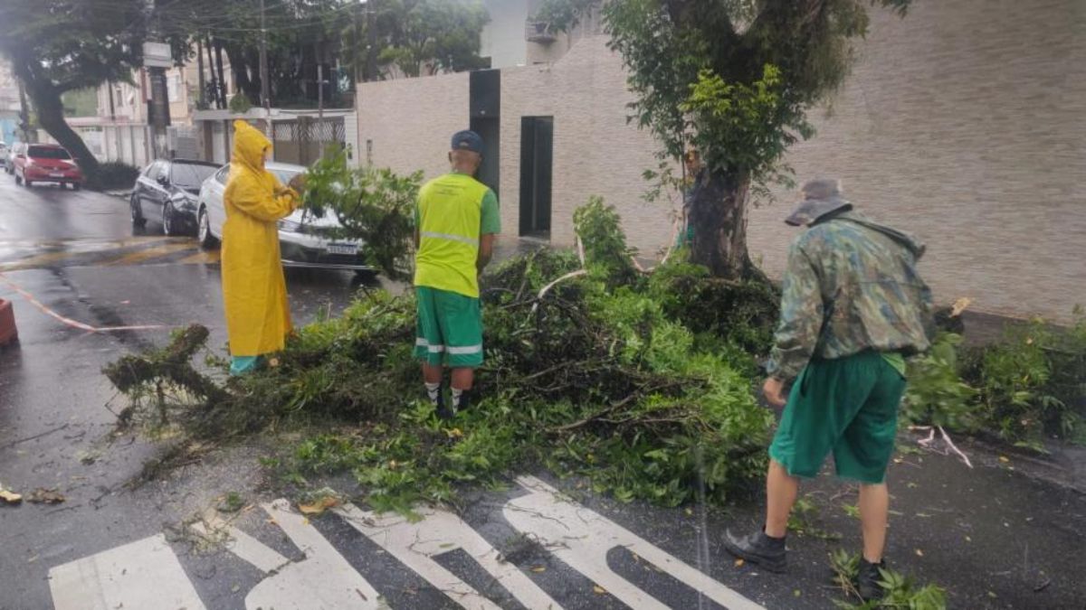Ao todo, foram registradas dez ocorrências envolvendo árvores e galhos, sendo duas quedas de árvores