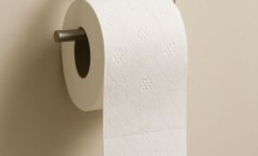 Pesquisa científica e legislação internacional aceleram adoção de banheiros mais eficientes e ecológicos.