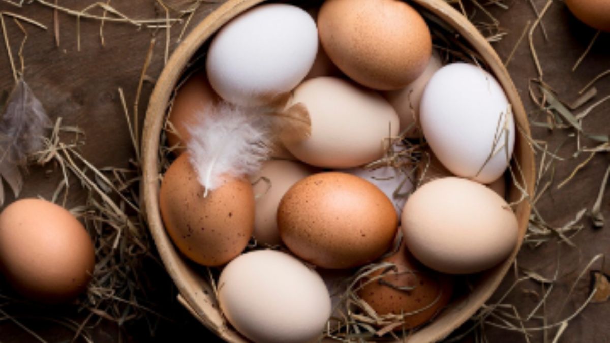 Entenda por que a cor da casca não define o valor nutricional e quais informações você realmente deve conferir na embalagem.