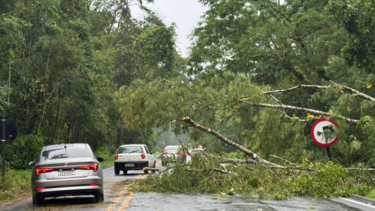 Serra Mogi-Bertioga (SP-098), entre o km 77 ao km 98, foi temporariamente interditada na manhã deste domingo