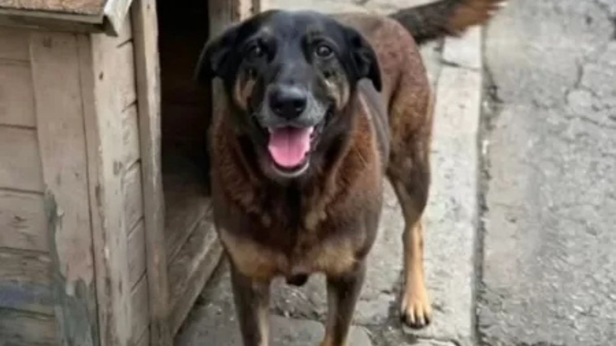 O Ministério Público avalia se aplicará punições severas como prestação de serviços ou restrição de liberdade