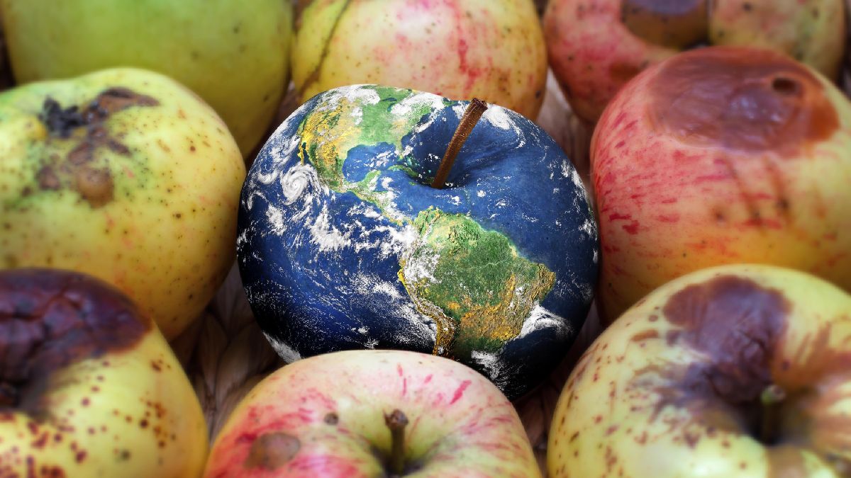 Fruta popular é muito consumida, tanto em natura quanto em bebidas e sobremesas