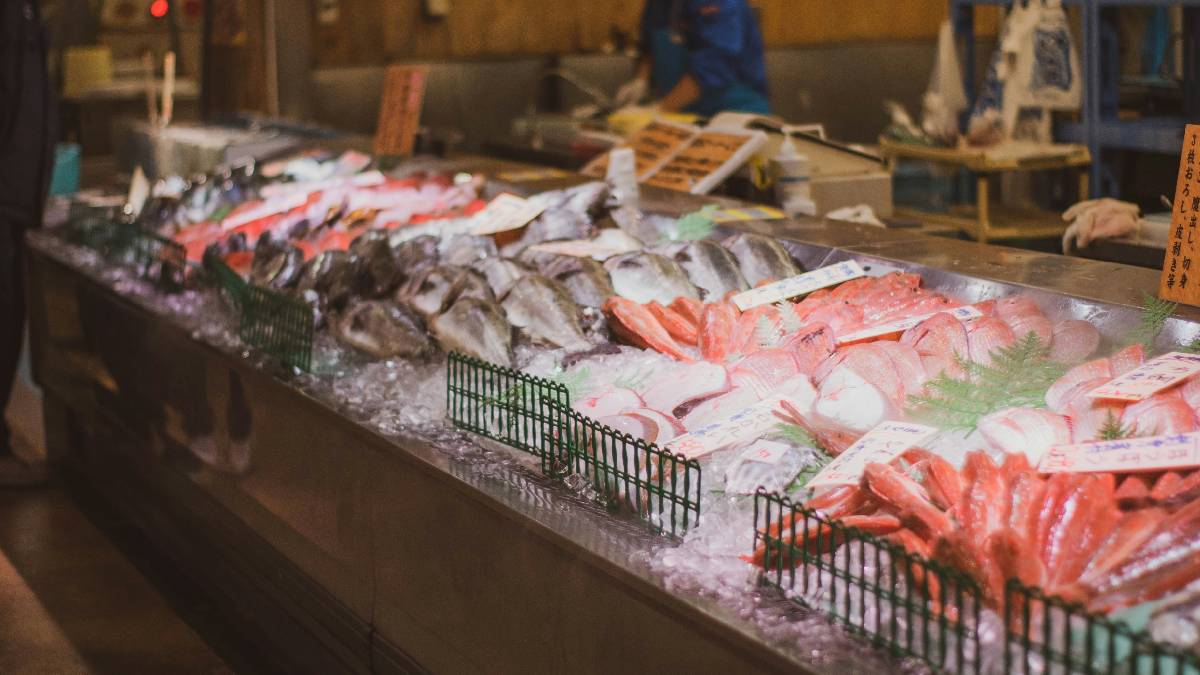 Aquecimento do Mediterrâneo impulsiona avanço de microalgas tóxicas e exige monitoramento contínuo.