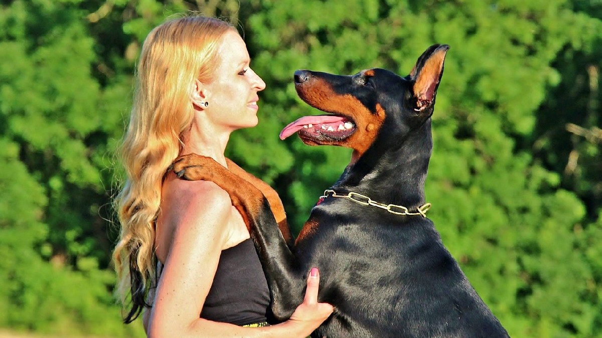 O melhor amigo do homem nos ajuda até no autoconhecimento