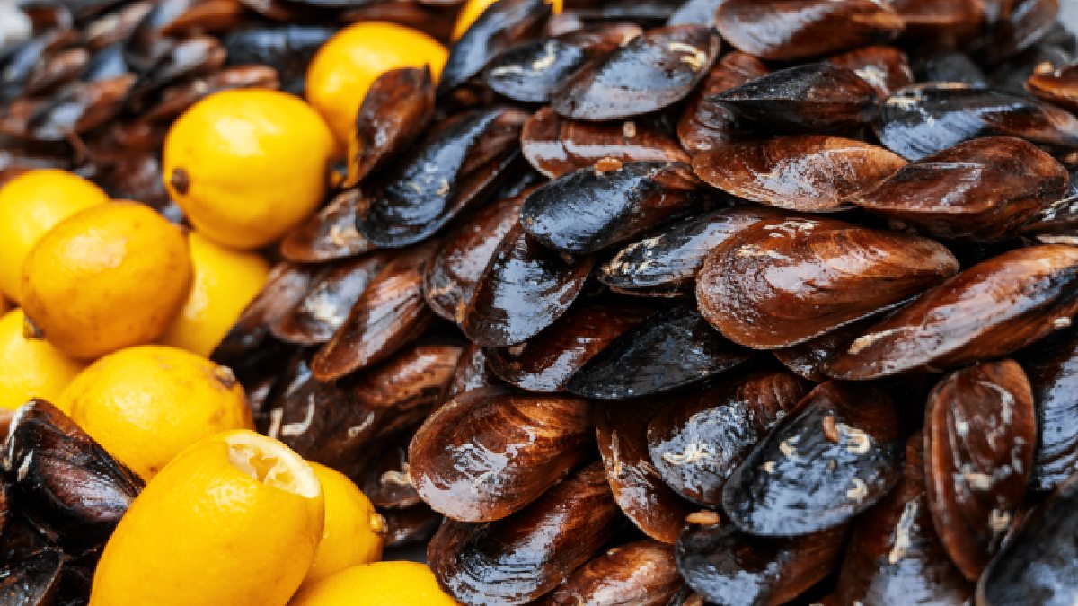 Um fruto do mar que combina saúde com sabor