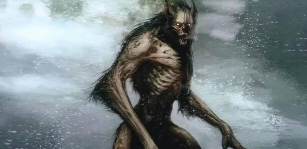 Diante da repercussão, o Comando Regional de Polícia Militar do Centro-Sul informou que está investigando o conteúdo presente no B.O