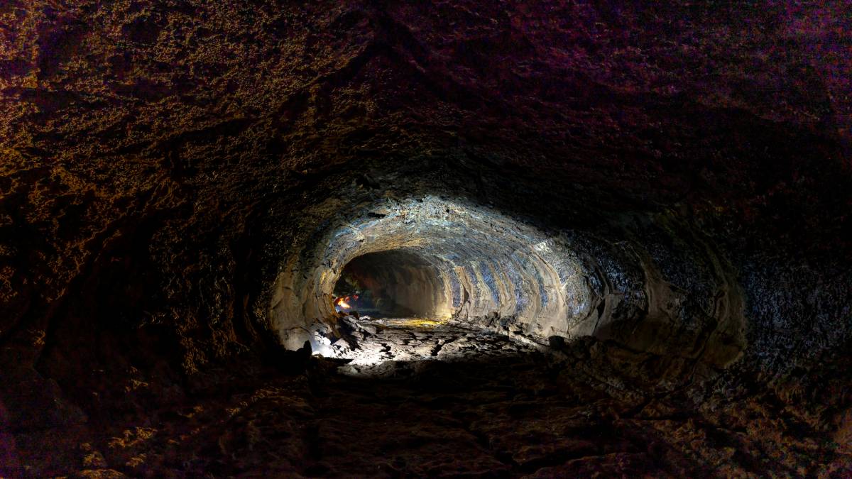 Entenda por que a descoberta de animais mumificados na Arábia é considerada um marco histórico