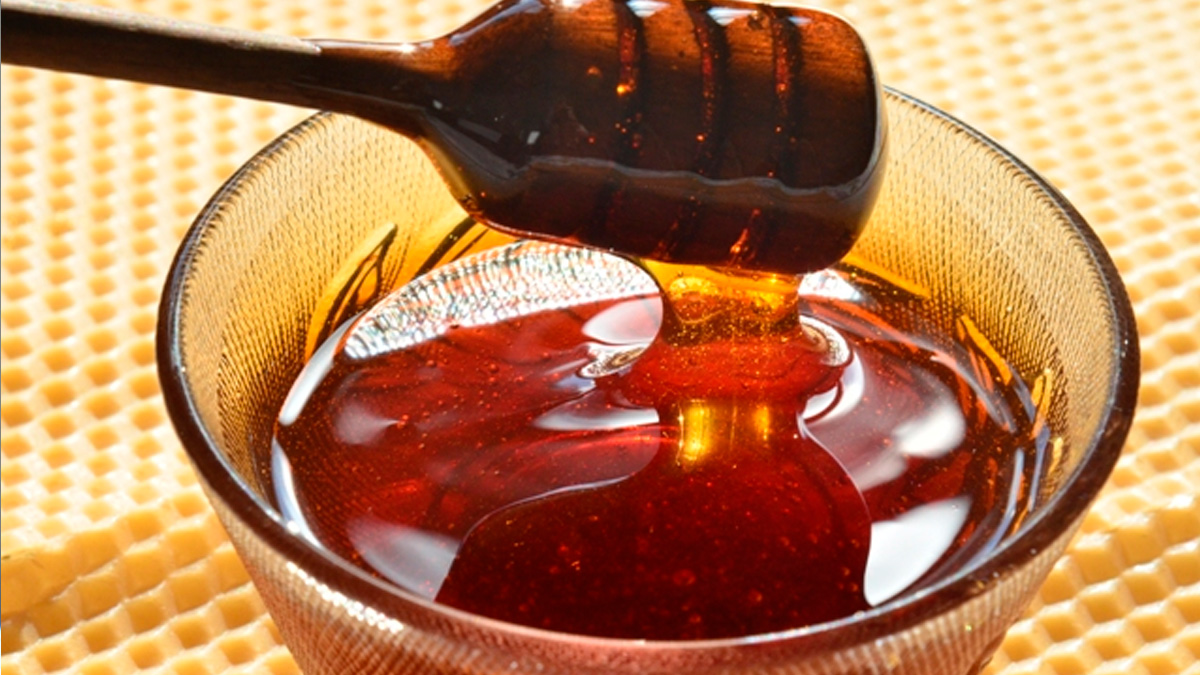 Isso mostra como a apicultura e a meliponicultura se tornaram uma atividade estratégica e fonte de renda no campo.