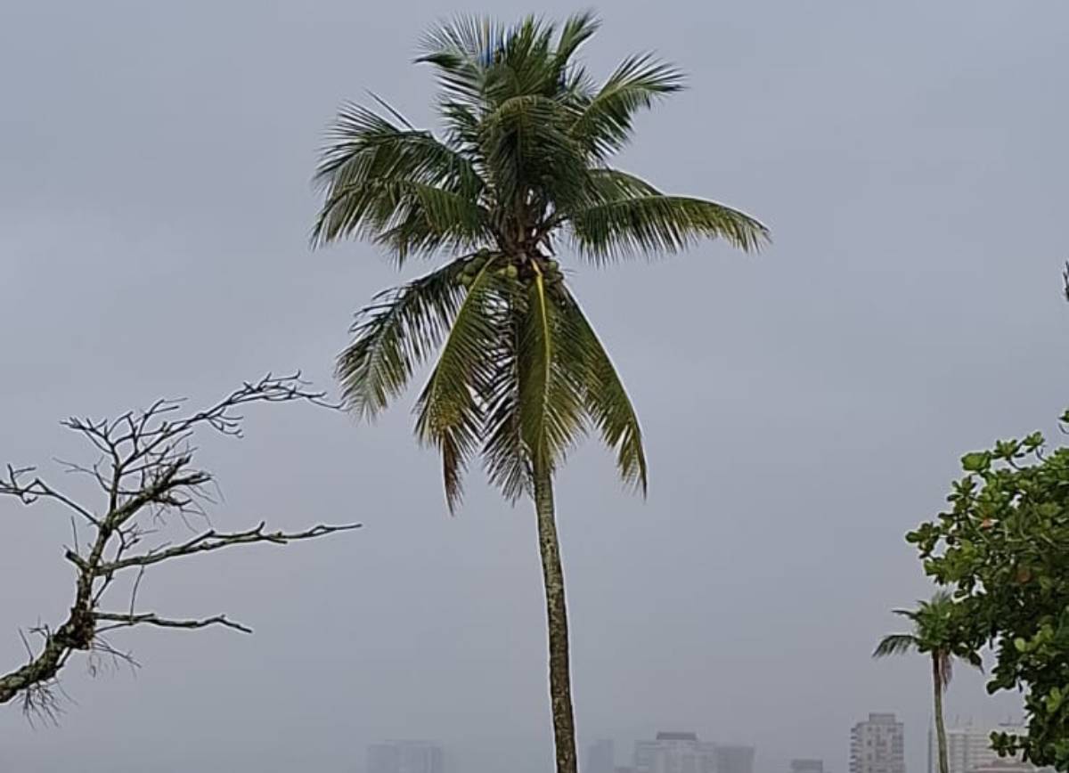 Além disso, a névoa, já tradicional na região, também marcou presença