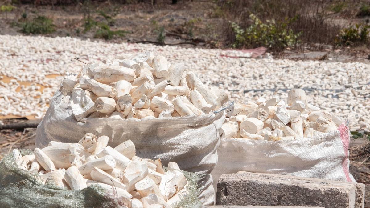 Entre eles está a Catedral Nossa Senhora da Glória, conhecida pela grandiosidade de sua estrutura, composta por cerca de um milhão de tijolos