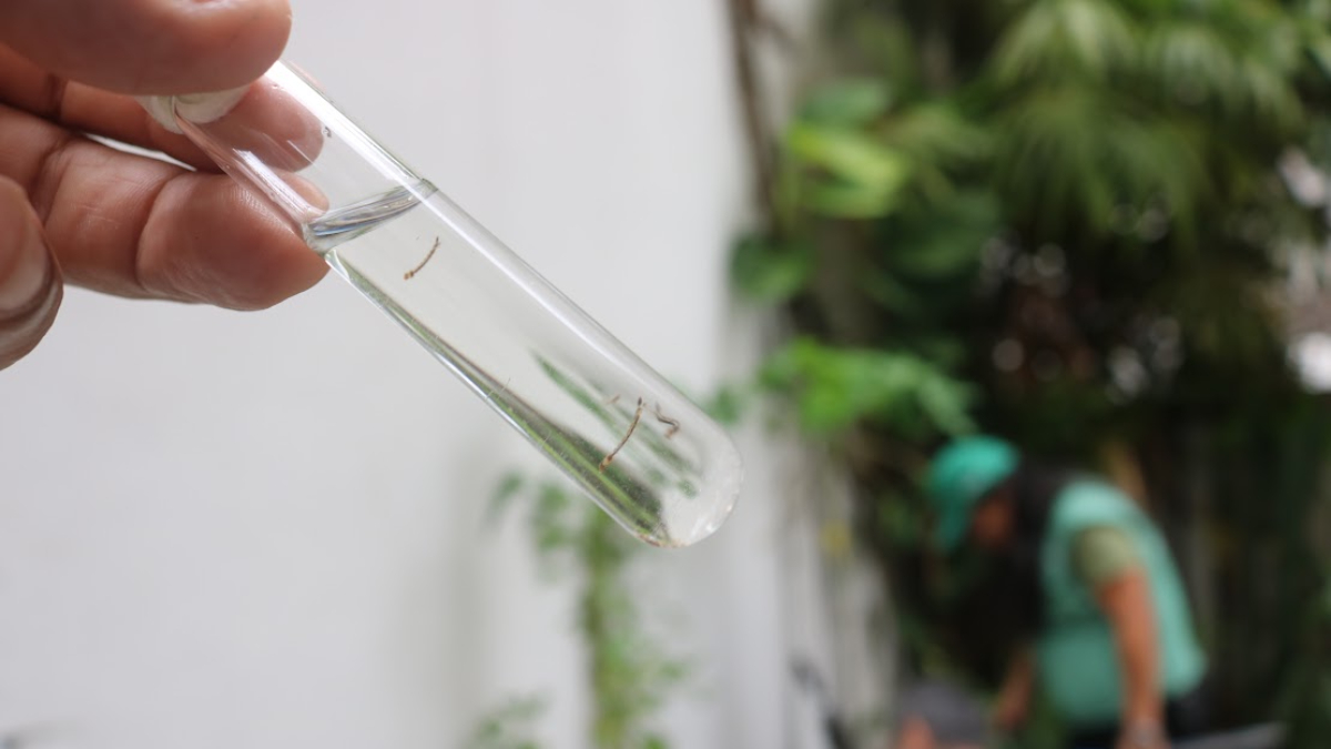 O fluxo em imóveis de locação por temporada facilitam o acúmulo de água parada