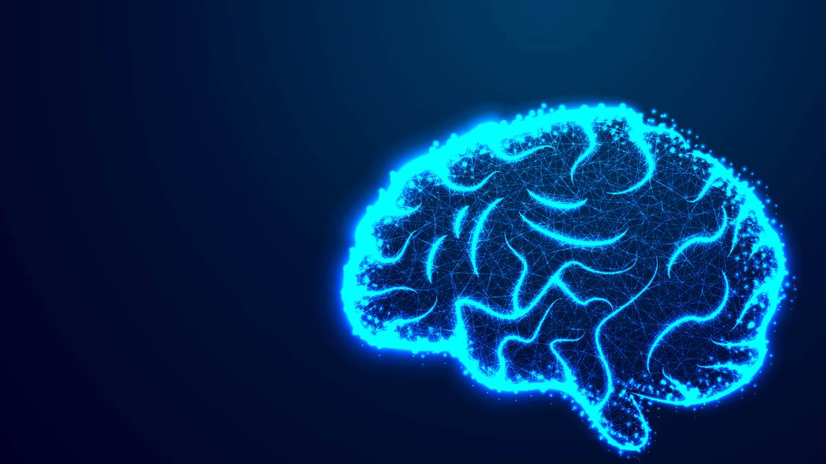 TL é um dos raros casos mundiais de pessoas que possuem uma biblioteca mental viva.