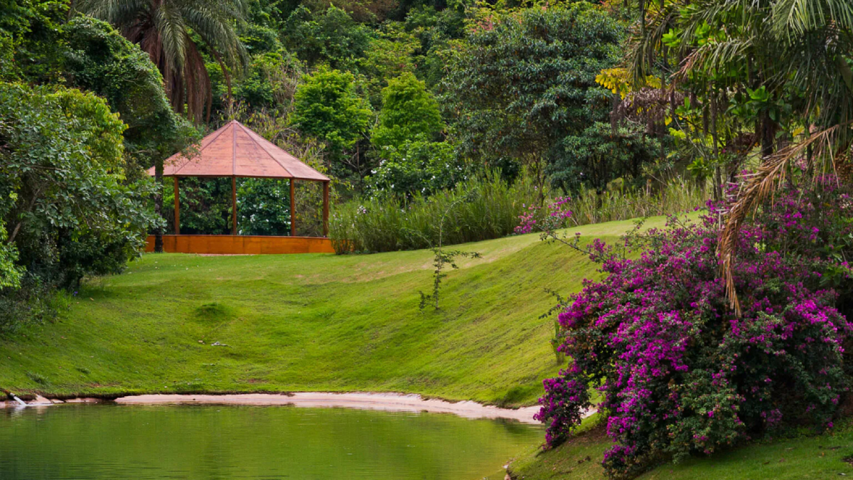 Em 2026, o instituto celebrará duas décadas de abertura ao público