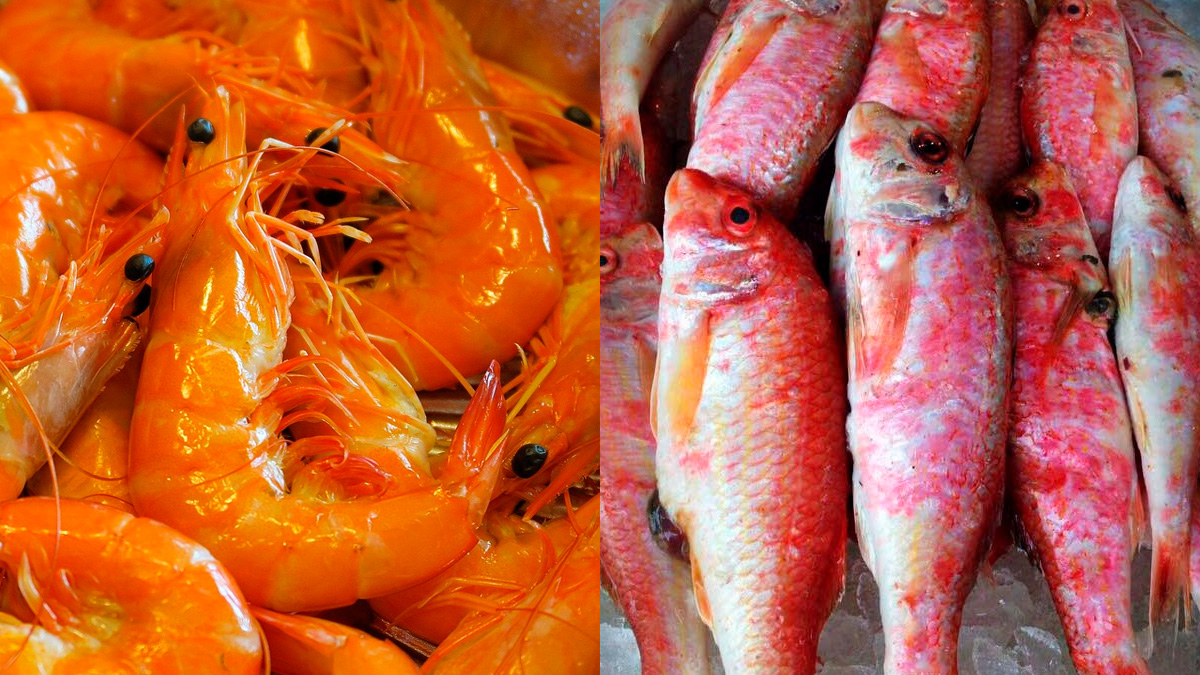 Mas quem não quer abrir mão do sabor do camarão na culinária pode recorrer a uma excelente alternativa: a trilha