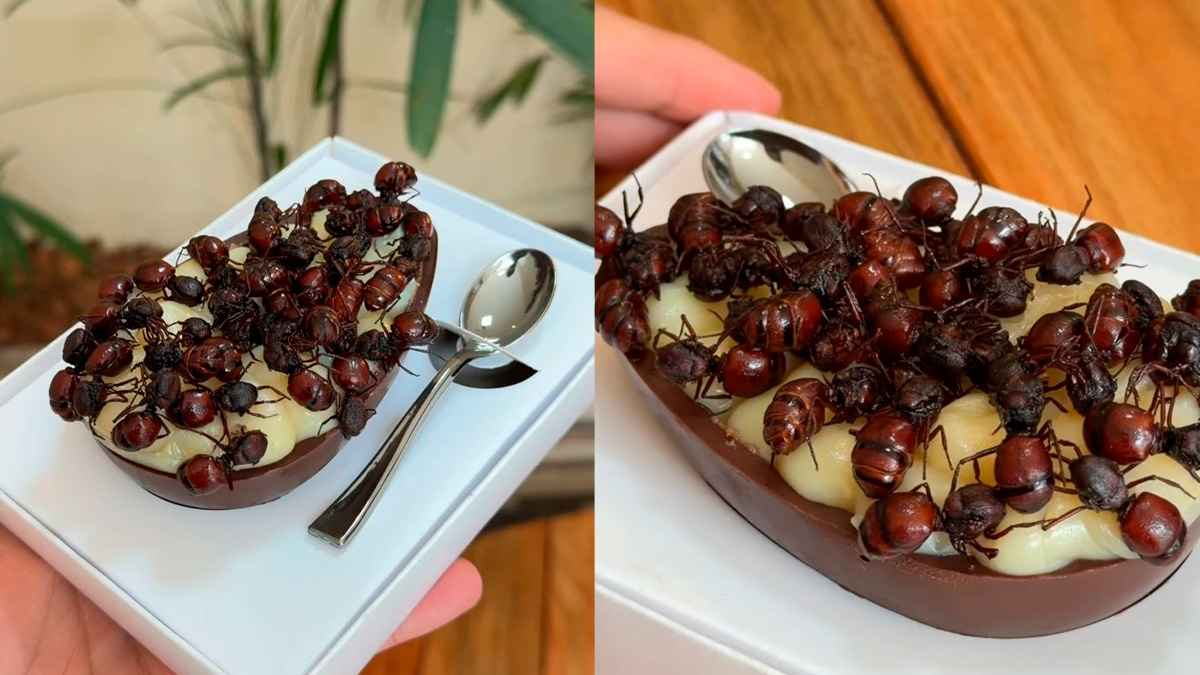 Um ovo de Páscoa nada convencional tem chamado atenção nas redes sociais e até divididas entre os internautas.