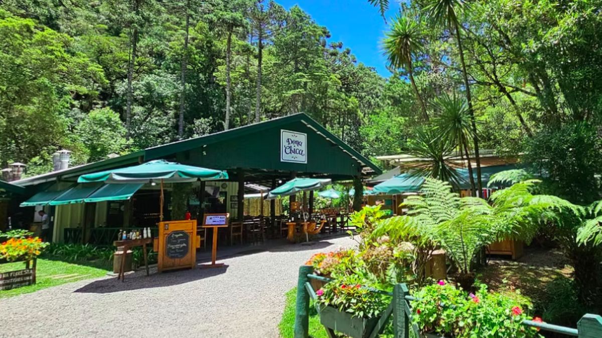 O restaurante Dona Chica Gastronomia apresenta receitas inspiradas na culinária da Mantiqueira durante o Festival Sabor de São Paulo, reforçando a presença de Campos do Jordão no cenário gastronômico paulista