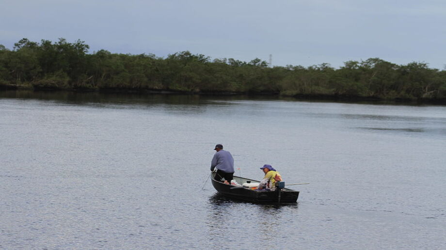 A comercialização do peixe, porém, ficará restrita ao estado onde ocorrer a captura.
