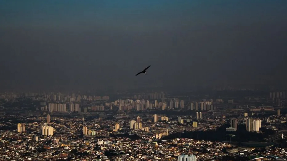 Os dados revelam que a assinatura química do ar muda drasticamente conforme a atividade da região