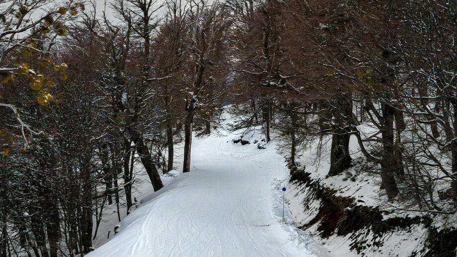 Para quem busca frio, montanhas e aquele clima europeu típico do inverno, o destino mais lembrado costuma ser Campos do Jordão.