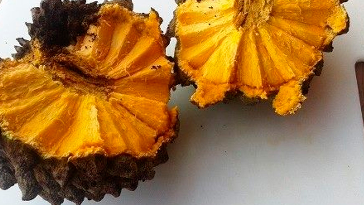 Campos Novos Paulista carrega o título de