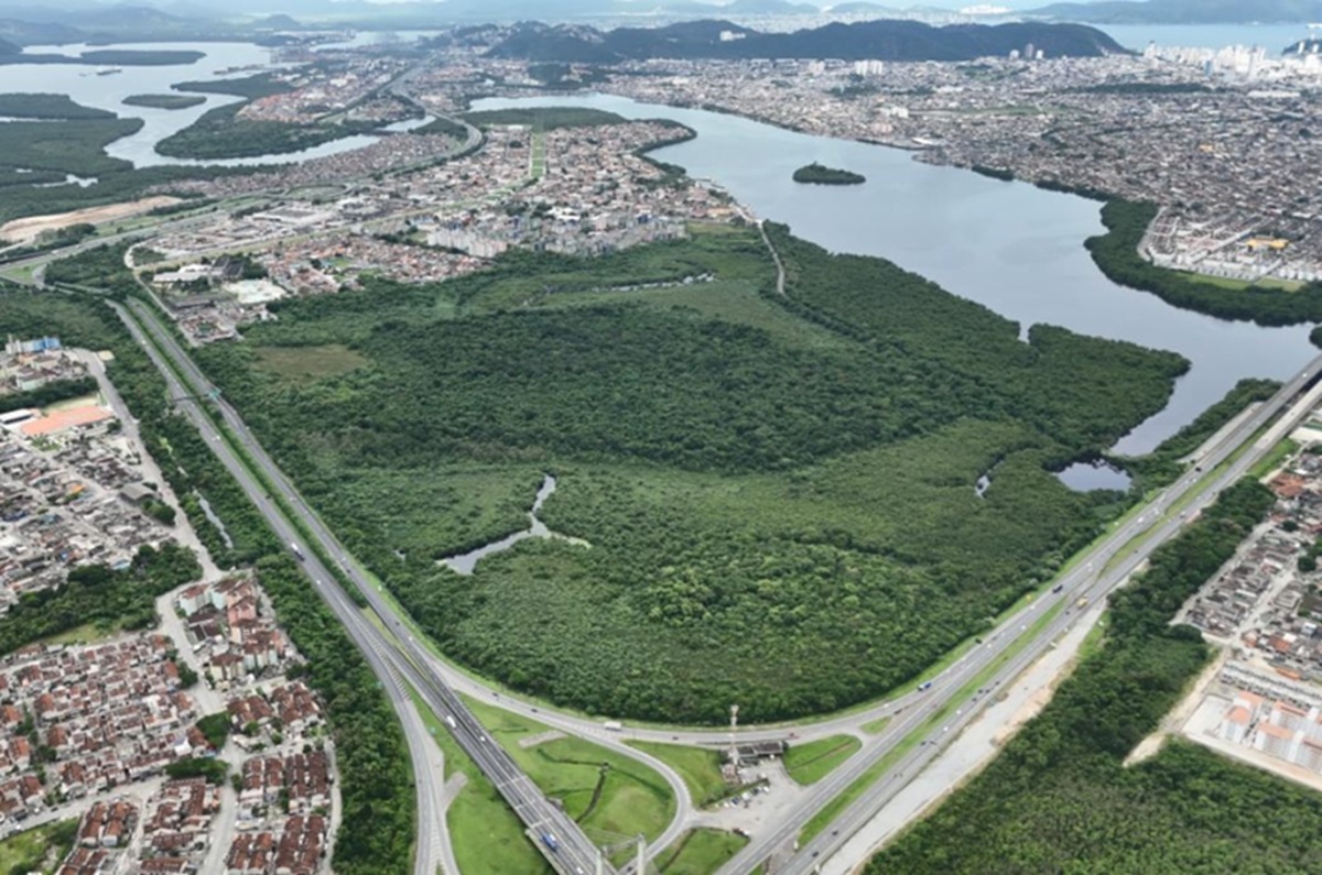 Cubatão está entre as 51 cidades brasileiras na lista global de 'Cidades Árvore do Mundo 2025'