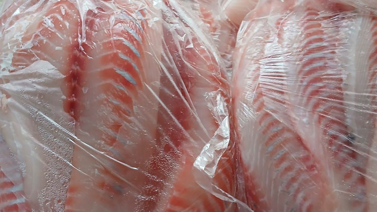 O governo de Santa Catarina proibiu, em dezembro de 2025, a importação, comercialização e distribuição de tilápia proveniente do Vietnã em todo o território estadual