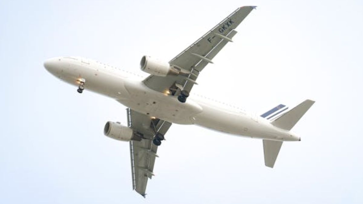 A ferramenta auxilia os usuários a encontrarem voos mais baratos e nos horários certos