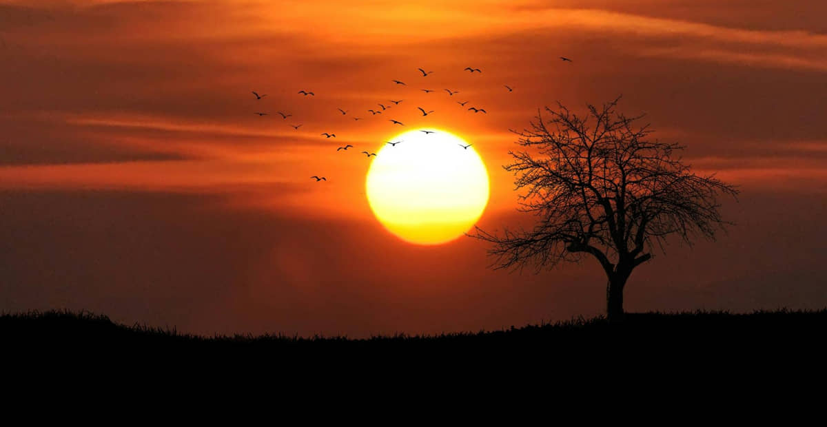 Sol brilha ainda forte em um fim de tarde quente de verão