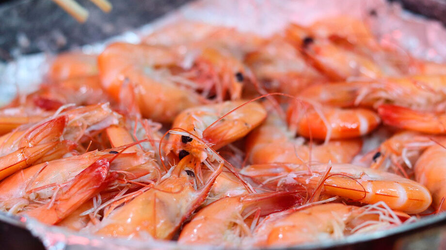 Desde o fim de janeiro, entrou em vigor nas cidades do Litoral de São Paulo o período de defeso do camarão.