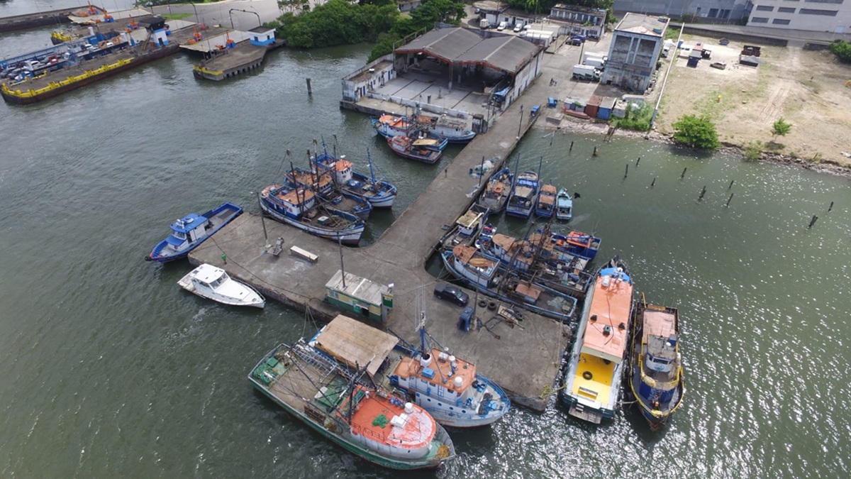 A DP World é uma multinacional presente em dezenas de países e desempenha papel fundamental na logística global, especialmente na movimentação de cargas em portos