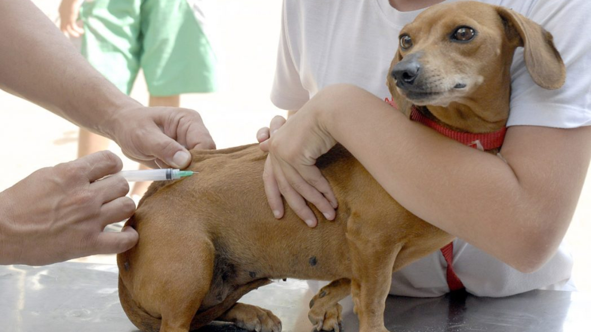 Nas próximas semanas, a aplicação da vacina em Peruíbe será destinada apenas a casos considerados de alta gravidade