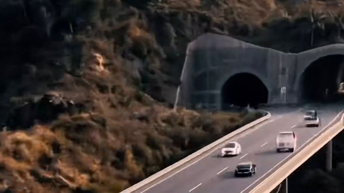 Estrutura faz parte de planejamento que busca conciliar desenvolvimento viário com preservação da Mata Atlântica