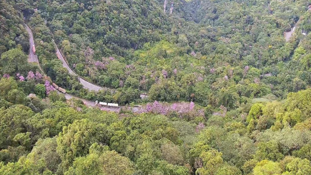 Ainda de acordo com a Ecovias, o tempo está bom em todo os trechos sob concessão