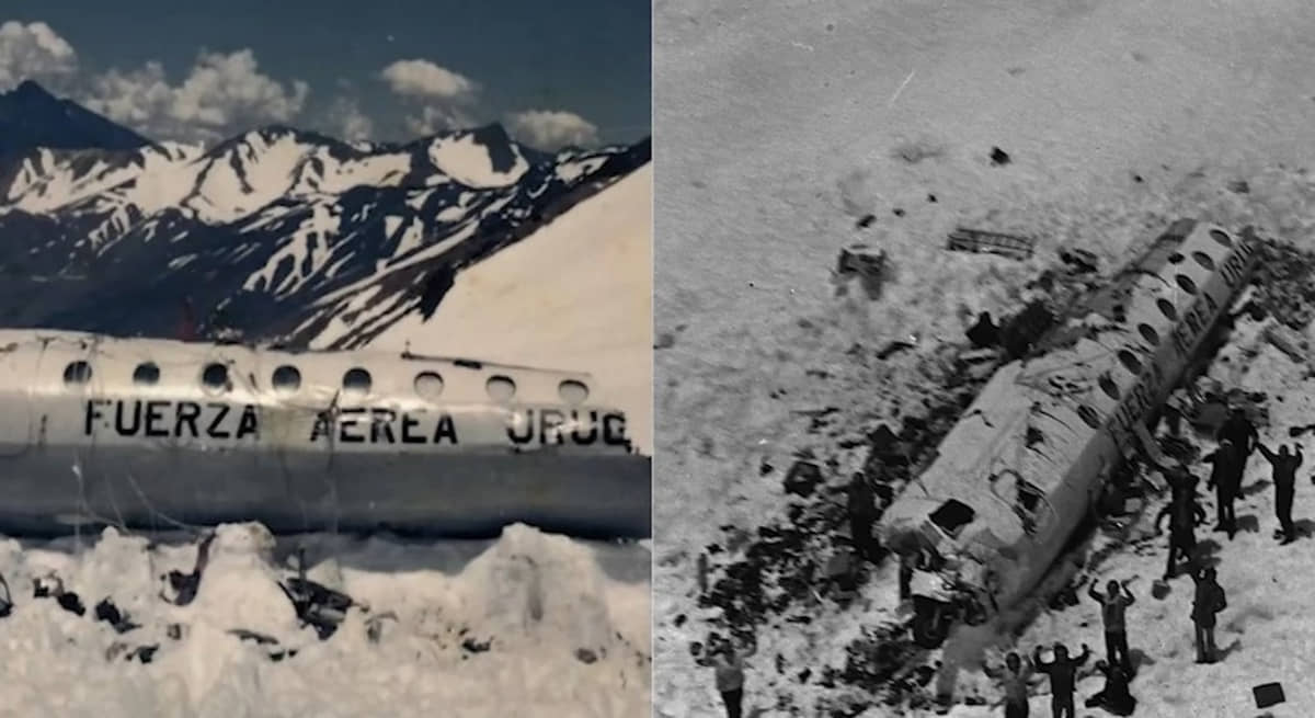 Imagens do avião completamente destruído no meio da neve