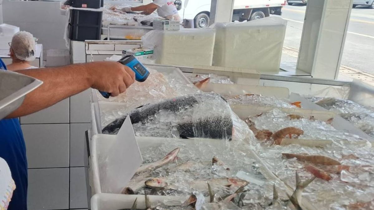 A Vigilância Sanitária de Guarujá iniciou no último fim de semana a Operação Quaresma