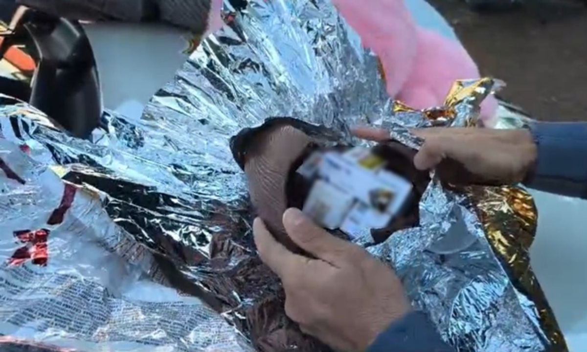 Durante a vistoria nas bagagens dos passageiros, os policiais encontraram dois ovos de chocolate embrulhados