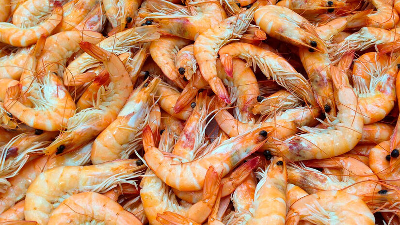 Apesar da popularidade da comparação, especialistas afirmam que a ideia não passa de um mito popular sem comprovação científica.