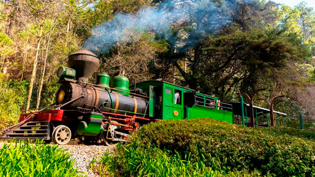 Entre elas, um dos passeios mais charmosos e procurados pelos visitantes é o tradicional trajeto ferroviário que corta a serra.