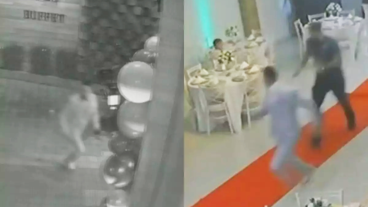 O vídeo revela o momento em que o suspeito tenta escapar dos agentes