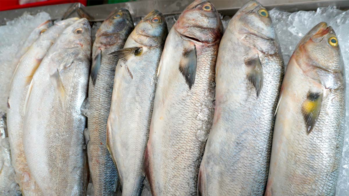 Na hora da compra ou à mesa, o consumidor pode fazer uma avaliação inicial do alimento.