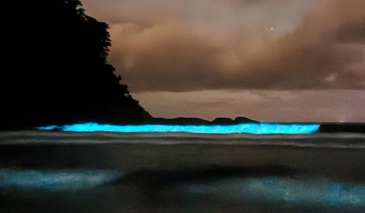 Caso aconteceu em março de 2025