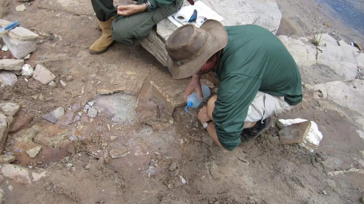 O achado é considerado um marco para a paleontologia mundial