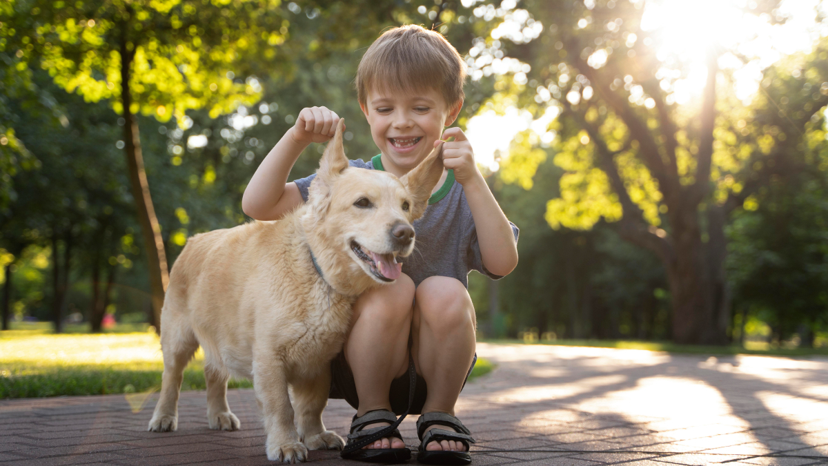 A estimativa é que mais de 340 alunos sejam impactados diretamente, desenvolvendo pensamento crítico e maior consciência sobre a valorização da vida animal