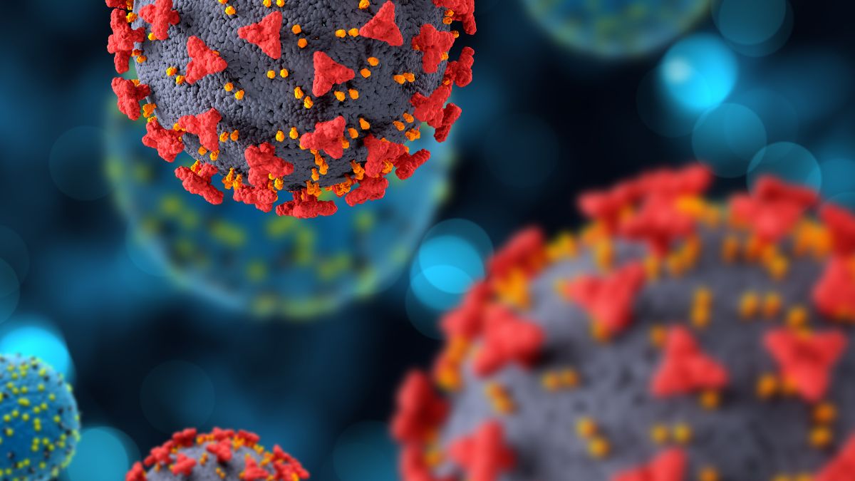 Entenda por que a rede global de virologistas está monitorando a cepa que avançou na Europa e nos EUA, mas ainda não chegou ao Brasil.