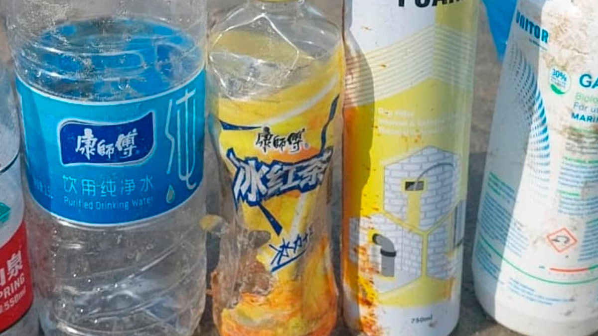 O material foi localizado durante uma vistoria ambiental realizada pela Ecologia em Movimento