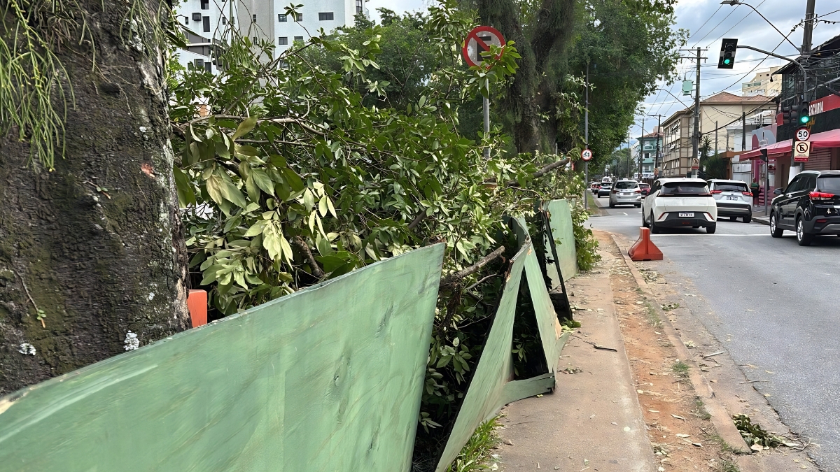 Trecho segue coberto com tapumes e com restos de podas de árvores