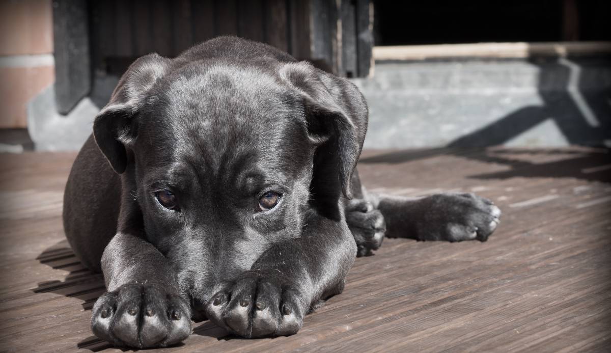 Feriado também é tempo de alerta